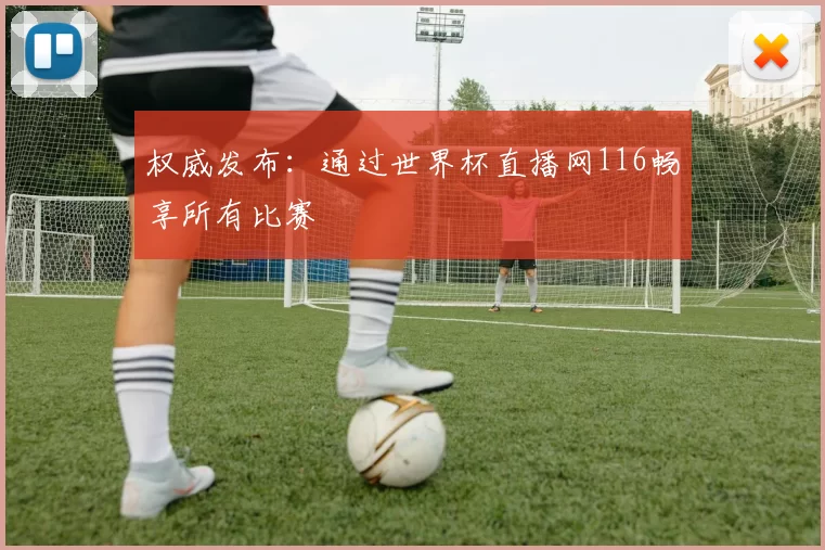 权威发布：通过世界杯直播网116畅享所有比赛