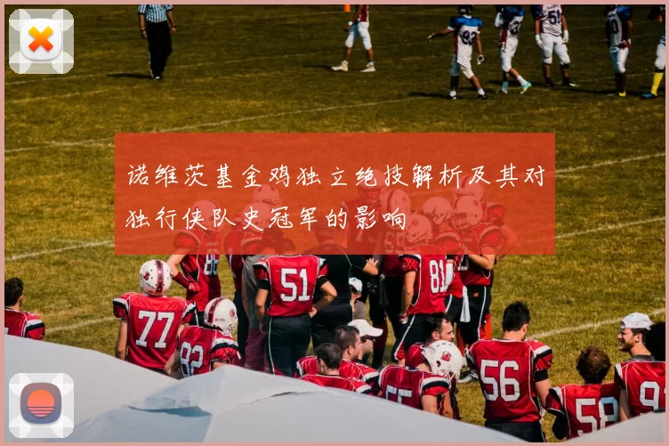诺维茨基金鸡独立绝技解析及其对独行侠队史冠军的影响