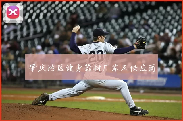 肇庆地区健身器材厂家及供应商