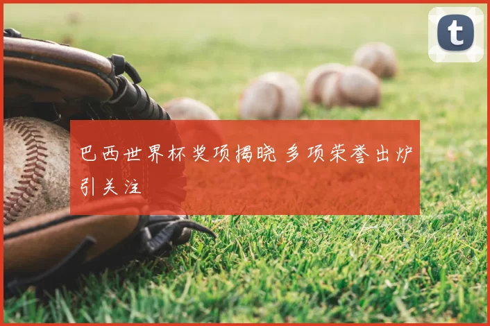 巴西世界杯奖项揭晓 多项荣誉出炉引关注