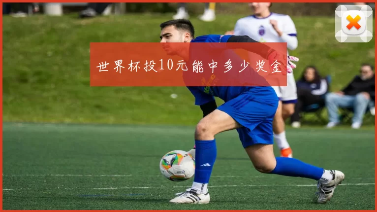 世界杯投10元能中多少奖金