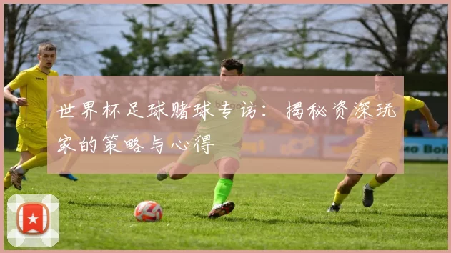 世界杯足球赌球专访：揭秘资深玩家的策略与心得