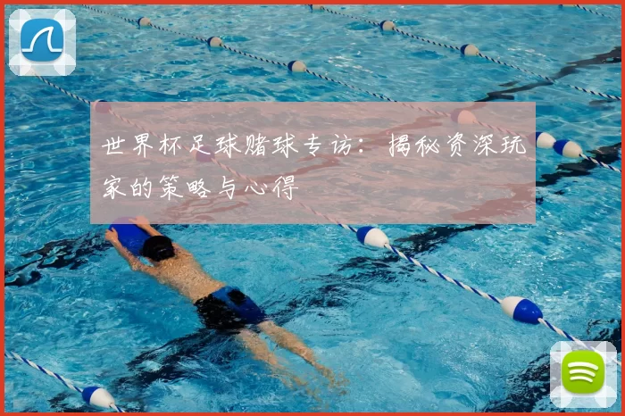 世界杯足球赌球专访:揭秘资深玩家的策略与心得