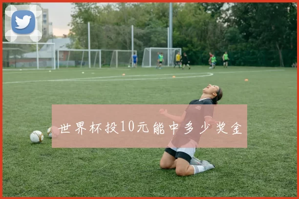 世界杯投10元能中多少奖金