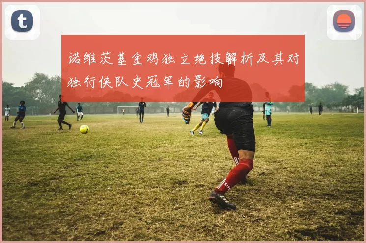 诺维茨基金鸡独立绝技解析及其对独行侠队史冠军的影响