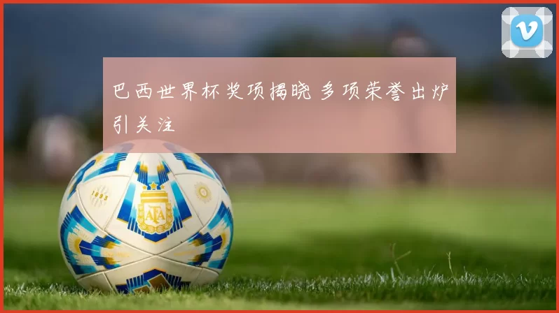 巴西世界杯奖项揭晓 多项荣誉出炉引关注