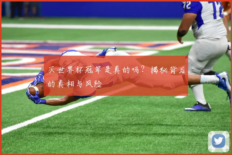 买世界杯冠军是真的吗？揭秘背后的真相与风险