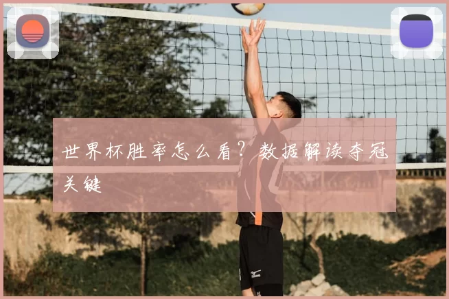 世界杯胜率怎么看？数据解读夺冠关键