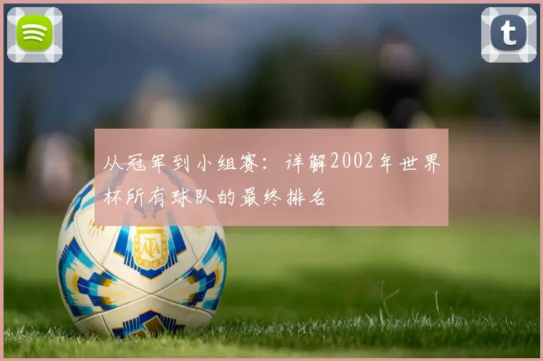 从冠军到小组赛:详解2002年世界杯所有球队的最终排名