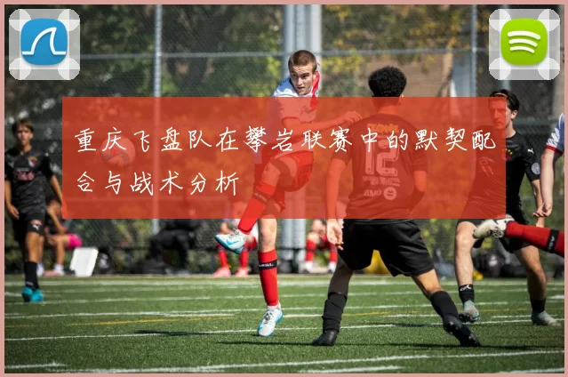 重庆飞盘队在攀岩联赛中的默契配合与战术分析